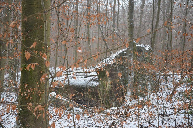 Wandertag 2017 - 049.JPG